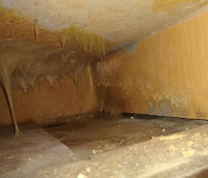dirty air duct with cobwebs 