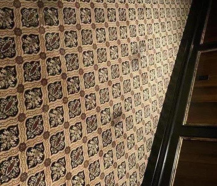 Carpet with dark stains. 