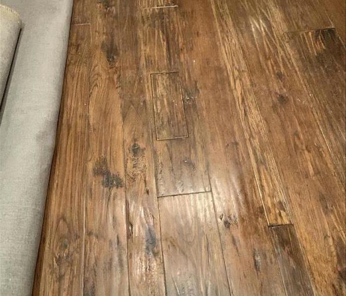 Hardwood floor with stains.