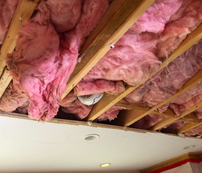 Ceiling pink insulation. 