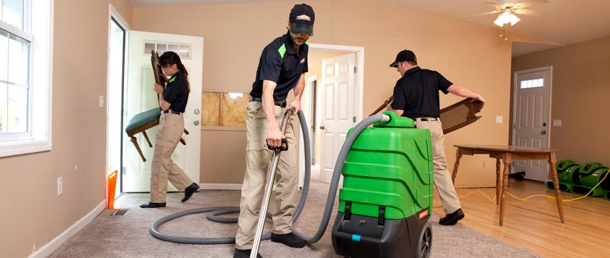 Edwards, CO cleaning services